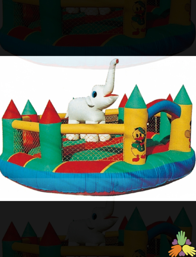 Bouncing Castle